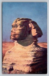 The Sphinx  Egypt   Postcard