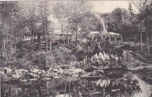 Vermont Rutland Long Trail Lodge Of the Green Mountain Club Albertype