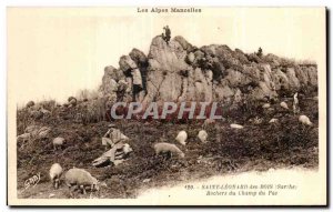 Old Postcard St Leonard Hood Alpes Mancelles bottom field Rocks Sheep