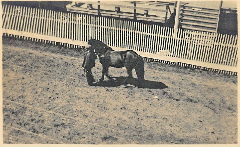 Oxford ME County Fair Getting Ready Horse Fence Real Photo Postcard