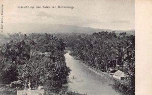 L228 Indonesia Dutch East Indies Buitenzorg view of the Salak postcard