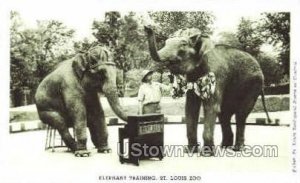 Elephant Training - St. Louis, Missouri MO Postcard