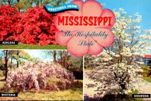 Mississippi Greetings From The Hospitality State Showing Dogwood Wisteria and...