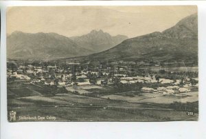 438946 SOUTH AFRICA Stellenbosh Cape Colony Vintage card on ordinary paper