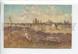 3182926 Hunt rabbits shot by MULLER vintage postcard