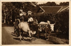 PC CPA MALAYSIA, BULLOCK CART, VINTAGE POSTCARD (b12102)