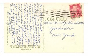 FL - Miami. Biscayne Boulevard from Bayfront Park ca 1950's