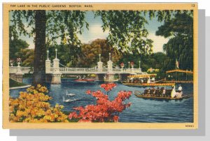 Boston, Massachusetts/MA Postcard,  Swan Boats On Lake In Public Gardens