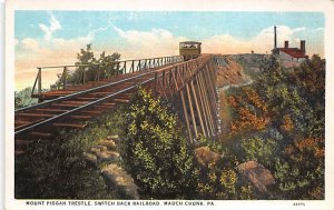 Mount Pisgah Trestle, Switch Back Railroad Mauch Chunk, Pennsylvania PA  