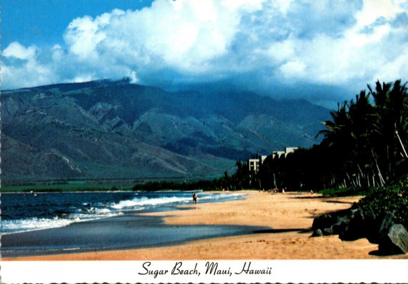 Hawaii Maui Sugar Beach