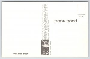 Morris Katz~Two Birch Trees~Old Mill~Vintage Postcard