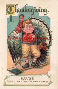 Thanksgiving, Albrecht & Meister, Boy Saving a Turkey