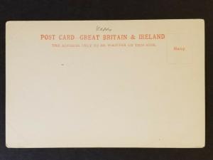 Mint Ireland Innisfallen Abbey Killarney Co Kerry Scenic Real Picture Postcard