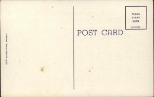 Bermuda British Isles Golfing Scene Ocean 1930s-50s Vintage Postcard