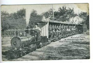 Benton Harbor MI House David Miniature Train Postcard