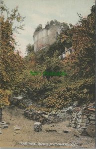 Herefordshire Postcard - The Yat Rock, Symonds Yat  RS28836