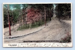 Horse Shoe Curve Boulevard Ann Arbor MI Michigan 1907 DB Postcard P13