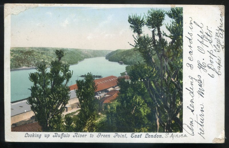 dc1843 - SOUTH AFRICA East London Postcard 1906 Buffalo River to Green Point