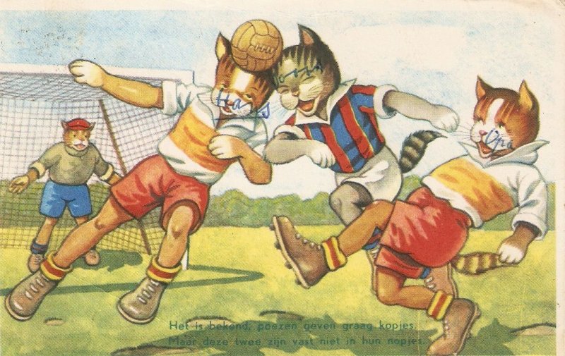 Humanized cats. Playing football Old vintage Dutch, artist drawn, postcard