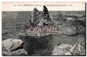 Old Postcard Ile de Brehat The Curious Rocks Peacock