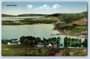 Gaspe Quebec Canada Postcard General View River Hills c1910 Antique Unposted