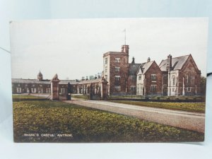 Shanes Castle Co Antrim Ireland Vintage Antique Postcard