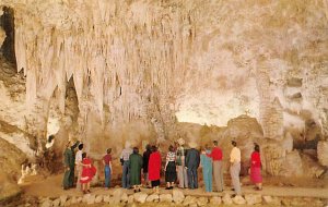 Queen's Chamber Carlsbad Caverns National Park, New Mexico NM