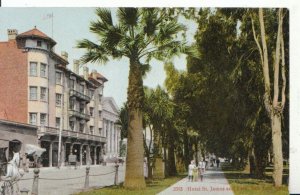 America Postcard - Hotel St James & Park - San Jose - California - Ref 5809A