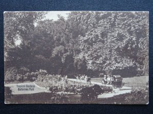 London BATTERSEA PARK Tropical Gardens c1920s Postcard by W. Checkney Co.