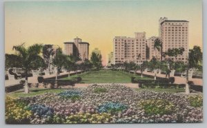 Miami Florida~Bayfront Park~Skyline Behind~c1910 Hand-Colored Postcard