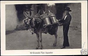 spain, GRANADA, Aguador, Water Seller, Donkey 40s RPPC