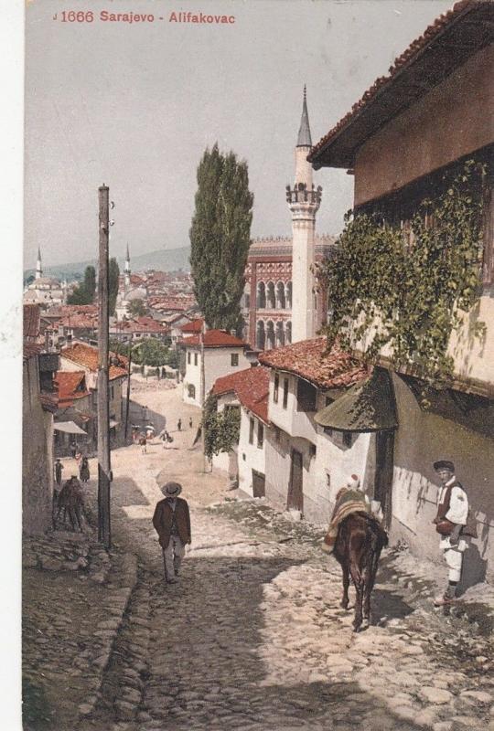 B79130 sarajevo alifakovac horse types  bosnia scan front/back image