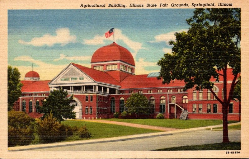 Illinois Springfield Agricultural Building Illinois State Fair Grounds Curteich