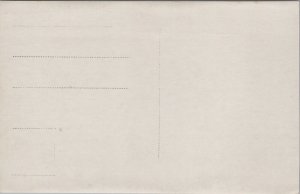 Denmark Helsingør Kronborg Castle Vintage Postcard 09.51