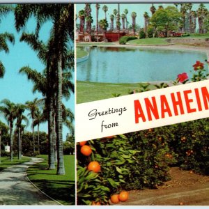 1958 Anaheim CA Greetings Orange Palm Tree Btw Disneyland Knotts Berry Farm A221