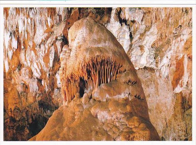 New Mexico Carlsbad Caverns The Caveman