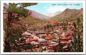 Town Of Estes Park Colorado CO Panorama of Buildings Postcard