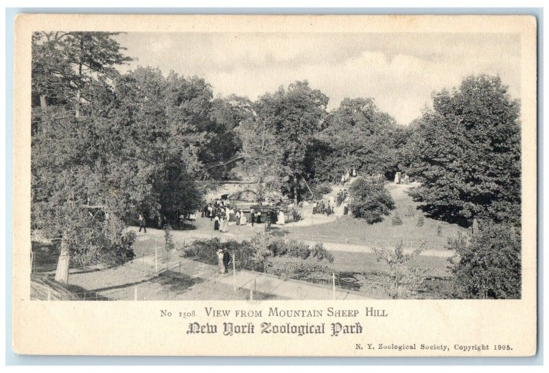 c1905 View From Mountain Sheep Hill New York Zoological Park NY Vintage Postcard