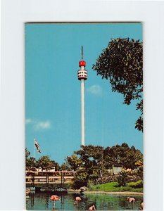 Postcard PSA Skytower, Sea World, Mission Bay, San Diego, California