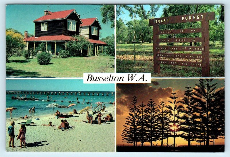 BUSSELTON, WA Western Australia ~ BEACHGROVE (c1910) Multiview Postcard 1982