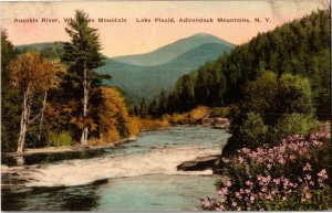 Ausable River, White Lake Mt Lake Placid Adirondacks NY Vintage Postcard G41