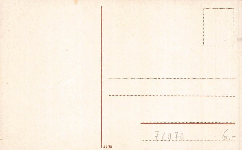L319 Germany Tuebingen Panoramic view vintage postcard