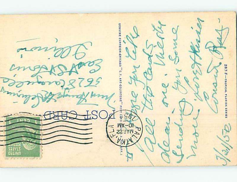 Linen Black Americana postcard - state of Florida HM9565