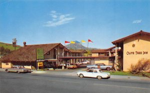 San Luis Obispo, California OLIVE TREE INN Roadside ca 1960s Vintage Postcard