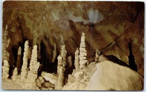 Postcard - Ghost Forest, Cathedral Room, Lewis And Clark Cavern - Whitehall, MT
