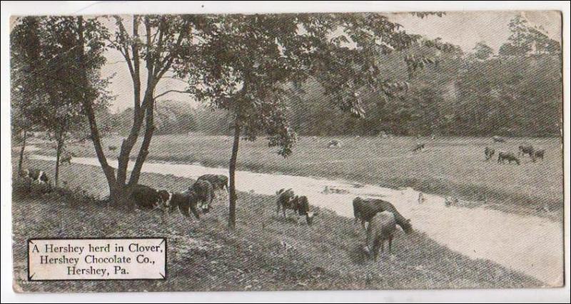 Herd in Clover, Hershey Chocolate Co, Hershey PA