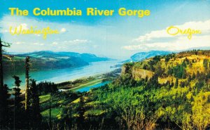 USA The Columbia River Gorge Washington Oregon Vintage Postcard 07.87