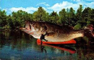 Fishing Exageration Giant Fish In Canoe The Big One Got Away 1962