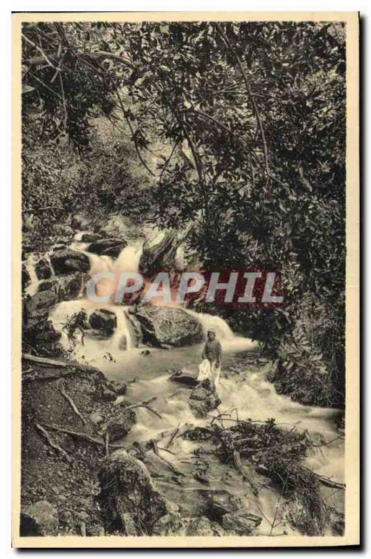 Old Postcard surroundings Blida edges of Chiffa Stream Monkey