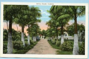 FL - Royal Palms